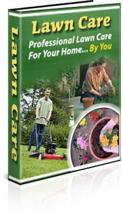 Quicky's Product Image