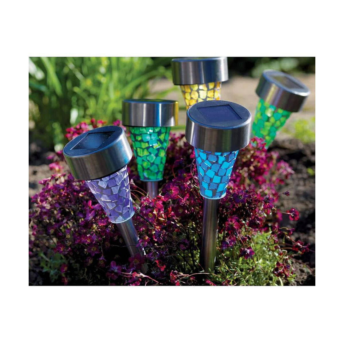 Quicky's Product Image