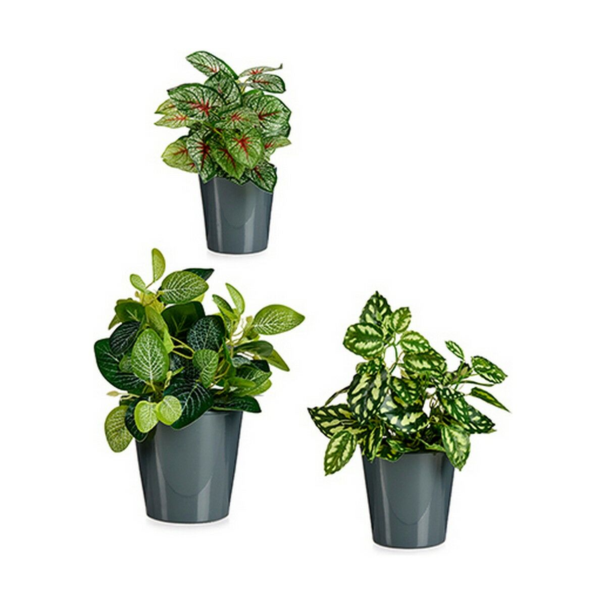 Quicky's Product Image
