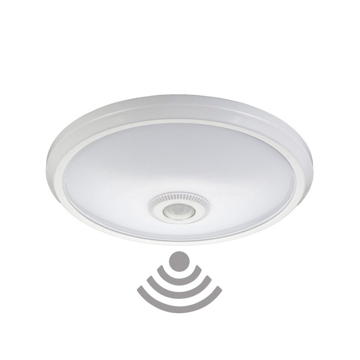 Quicky's Product Image
