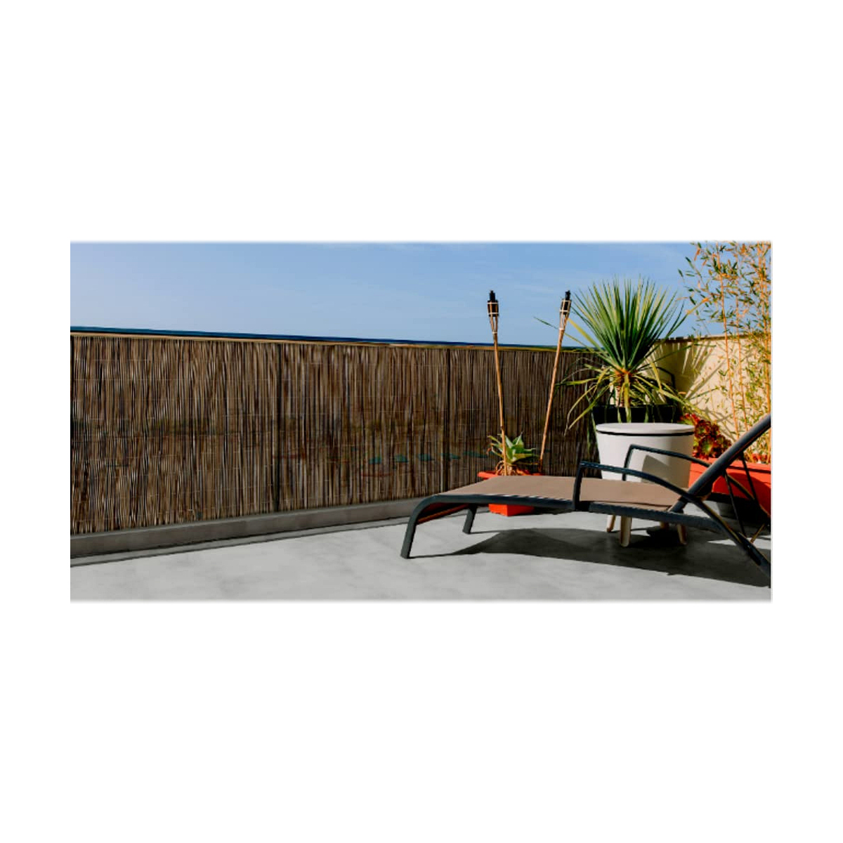 Quicky's Product Image