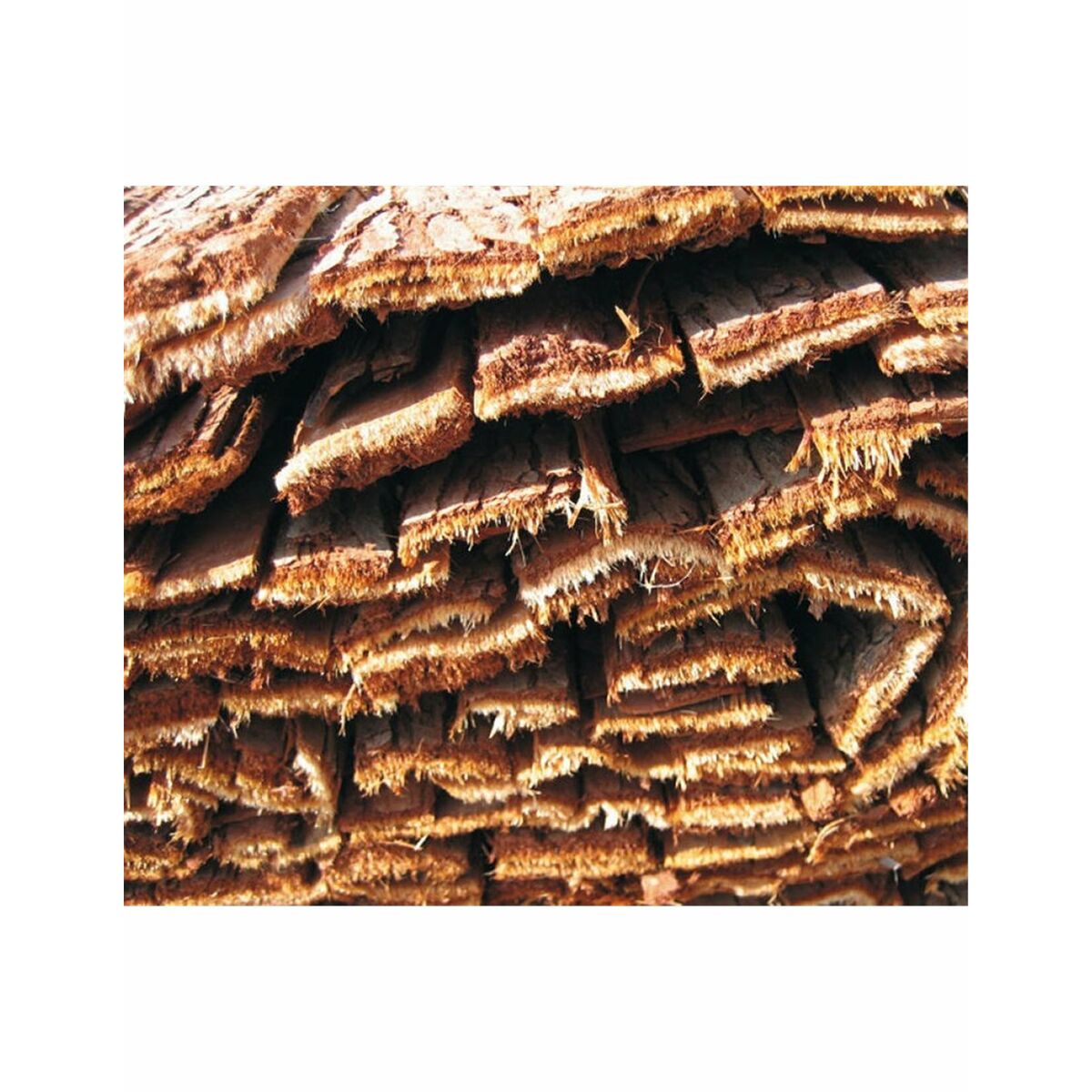 Quicky's Product Image