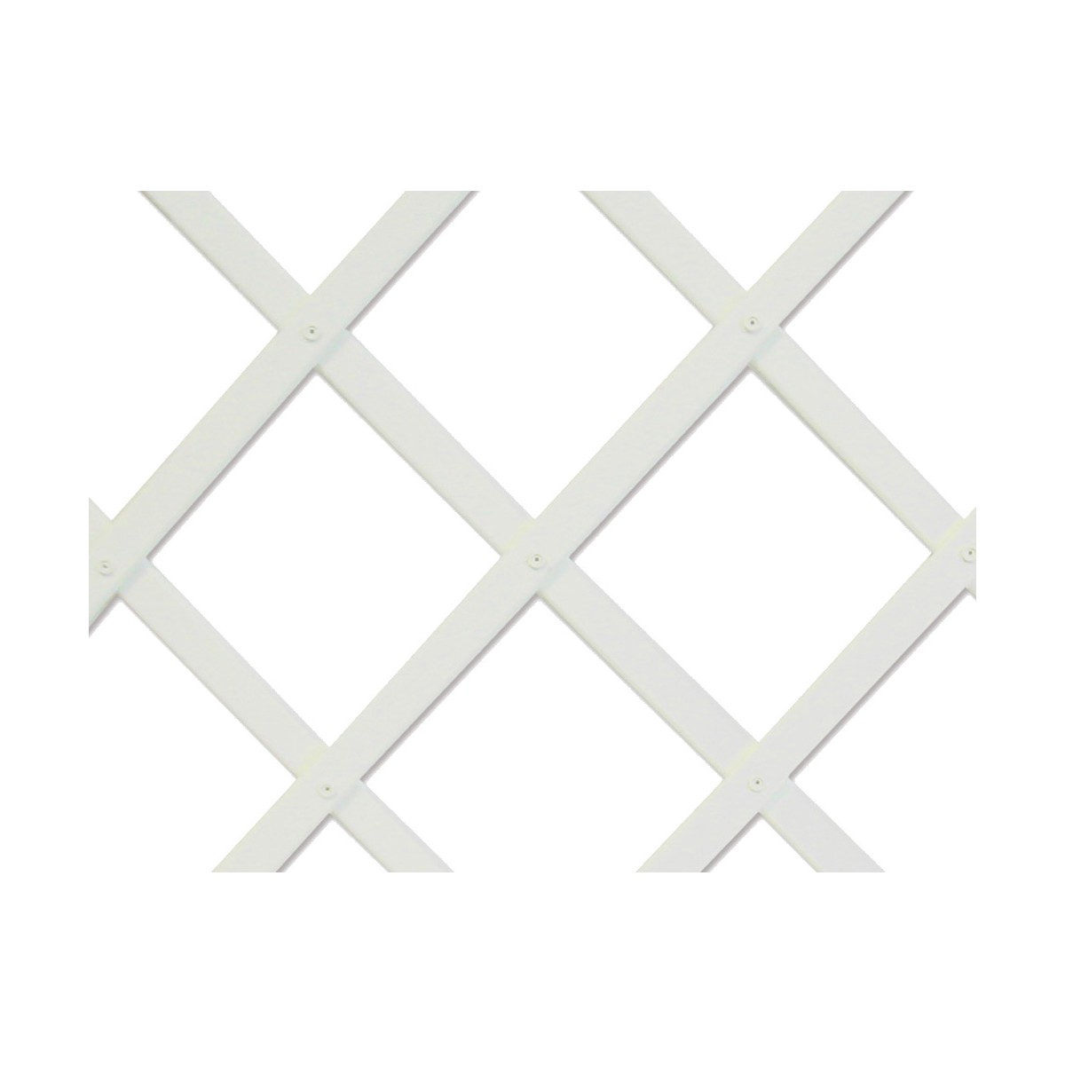 Quicky's Product Image