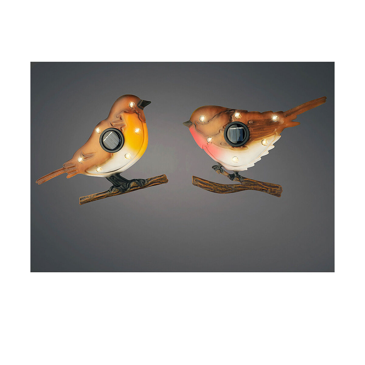 Quicky's Product Image