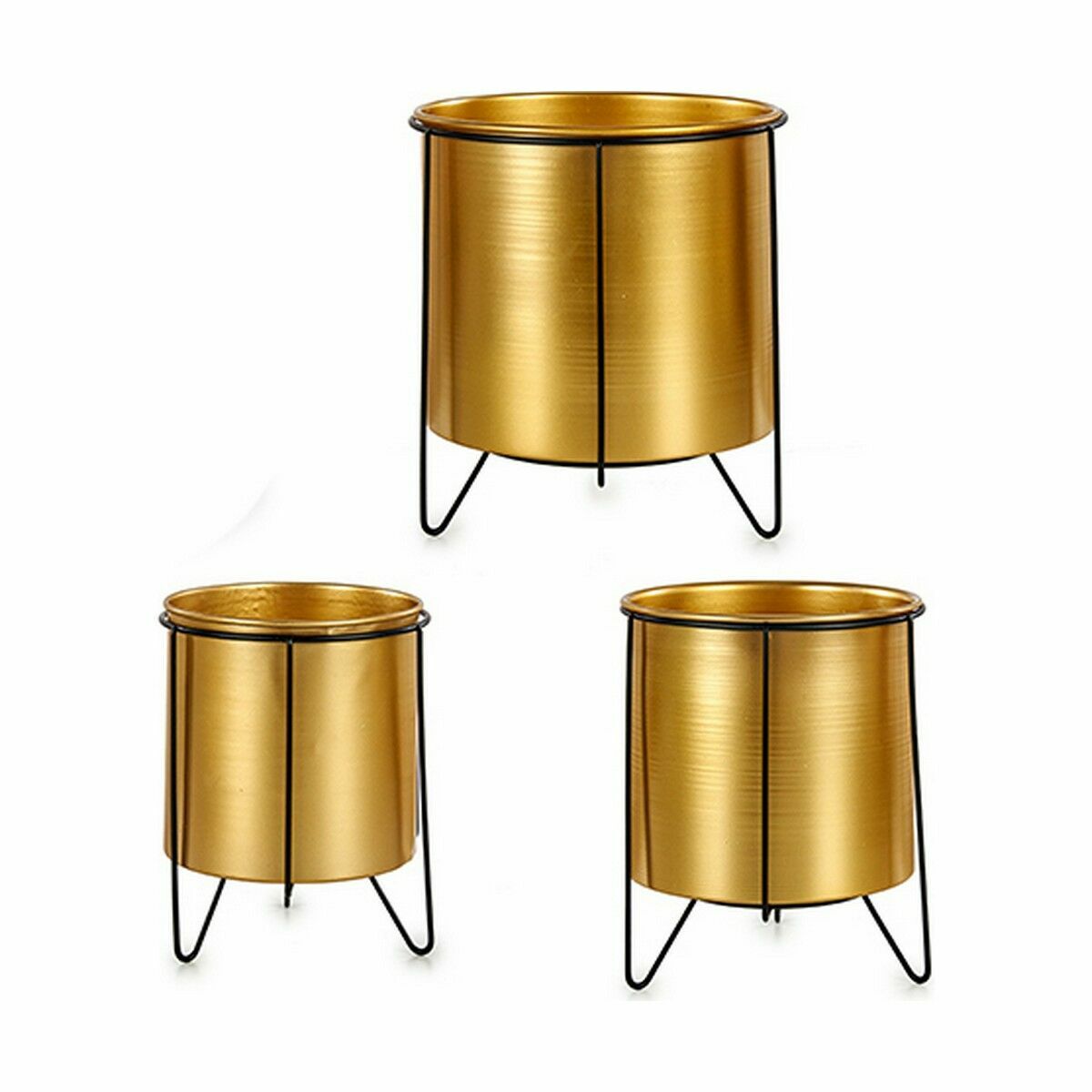 Quicky's Product Image