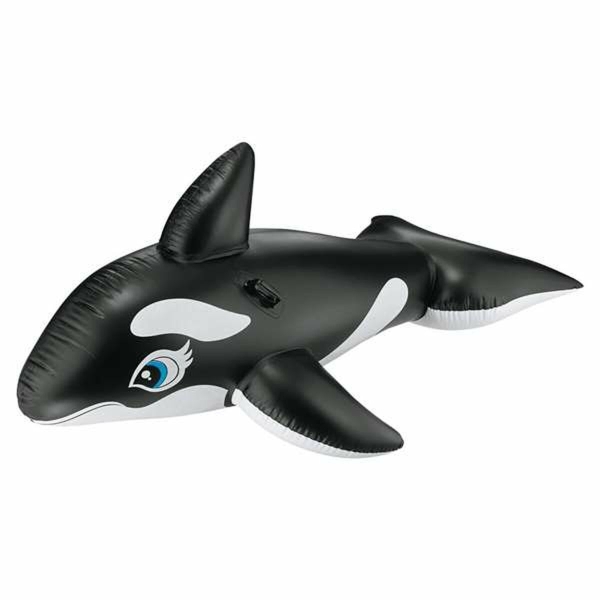 Quicky's Product Image