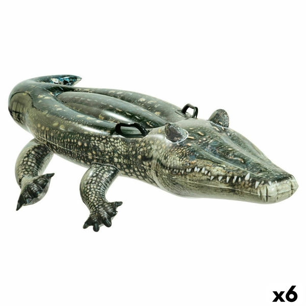 Quicky's Product Image