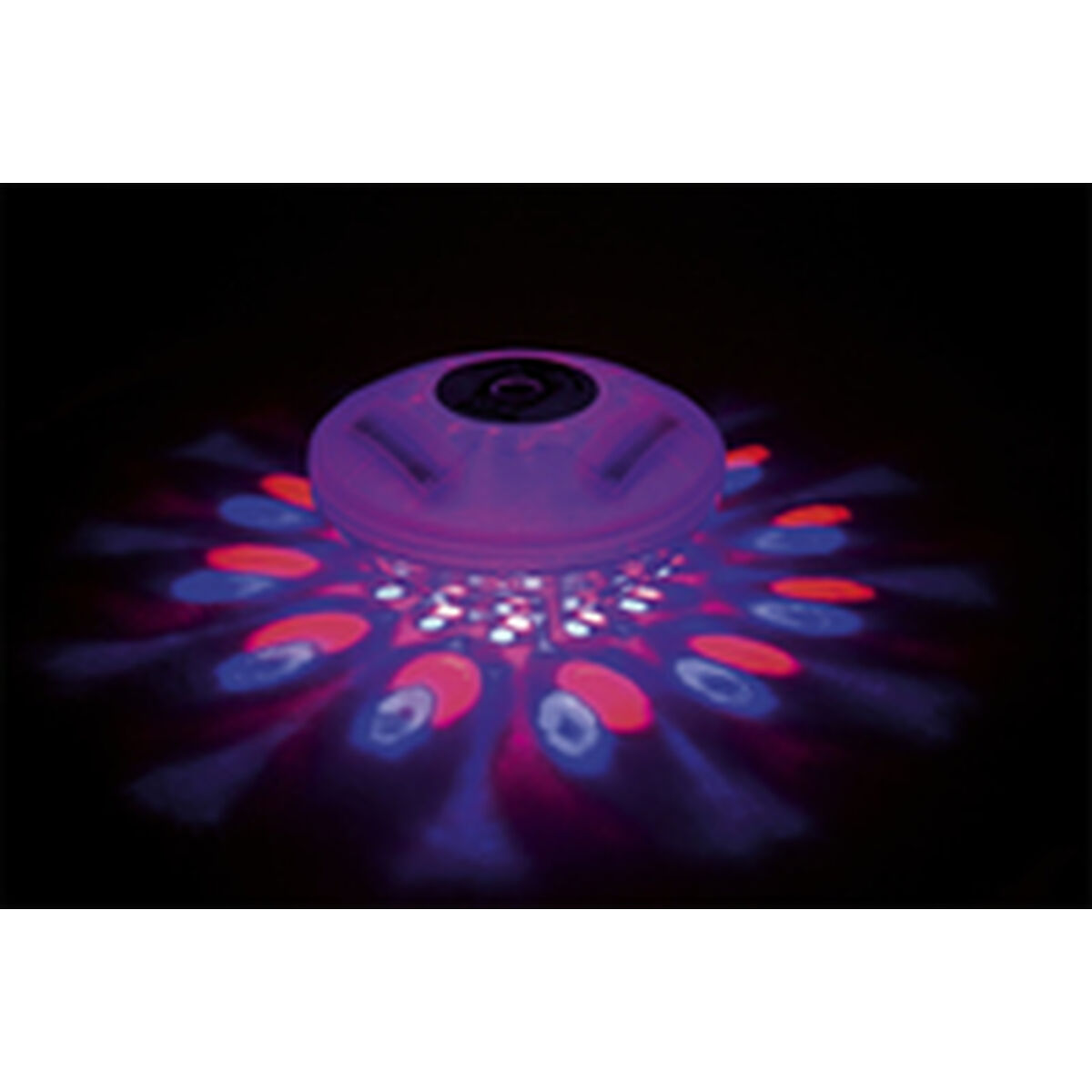 Quicky's Product Image