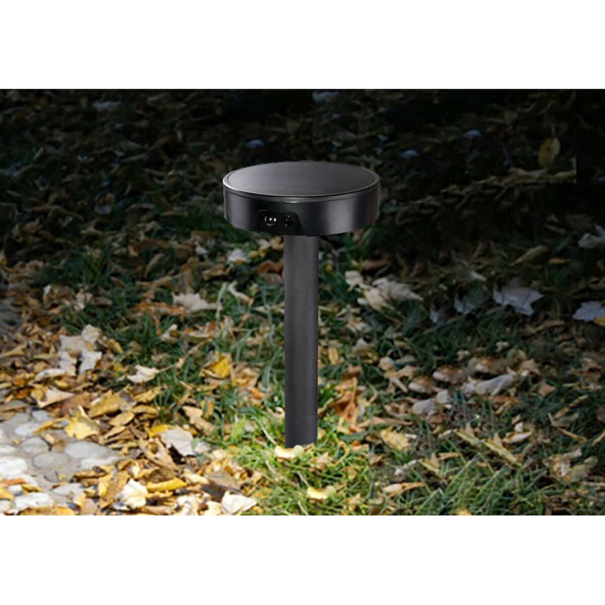 Quicky's Product Image
